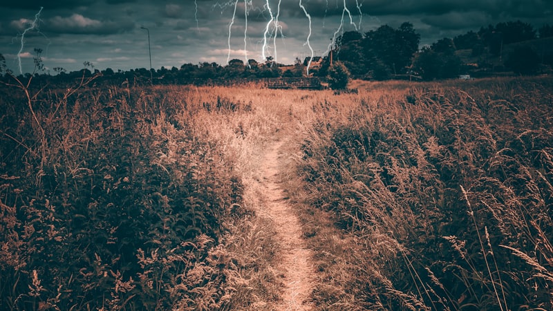 雨天出行安全指南：开车、骑行、步行注意事项